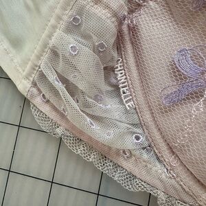 Chantelle Light Blush Lace Bra with Lilac Embroidery 34DD